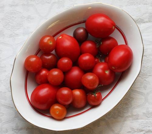 Pilkoin salaattiin vielä oman kasvihuoneen tomaatteja. Ylellistä!